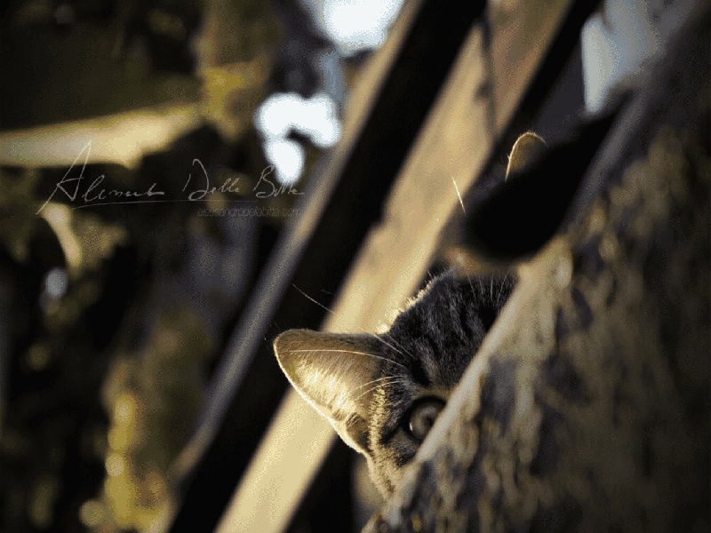 东莞试管最好的医院(做试管有规定)