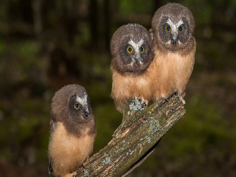 三代试管费用2020(长沙妇科中医试管)